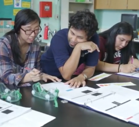 Teachers analyzing sheets 
