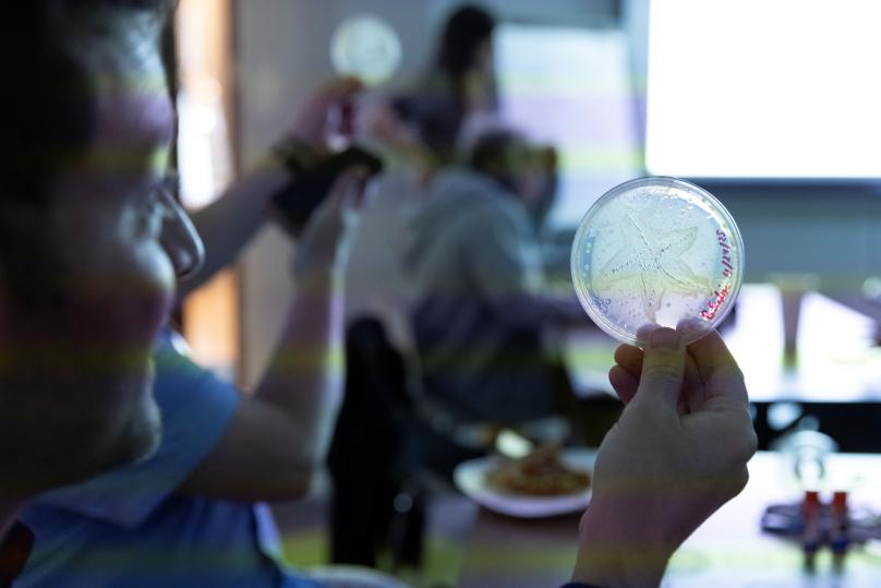 Picasso Feature Image