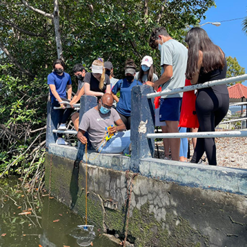 Applied Integrated Science Fieldwork