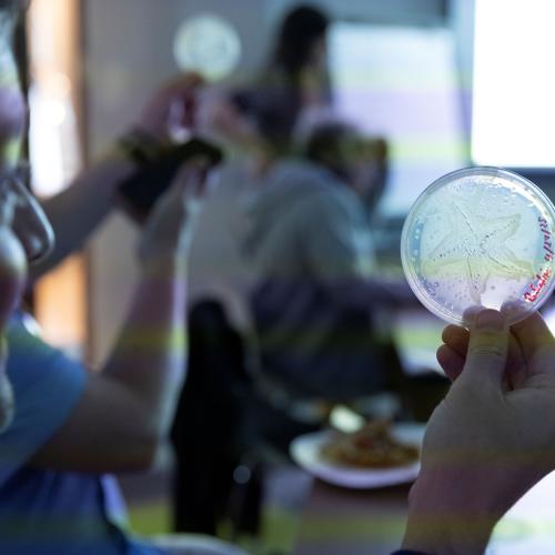 Picasso Feature Image