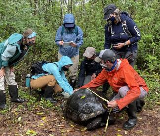 Bringing the Galapagos Islands to the Classroom