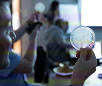 Picasso Feature Image