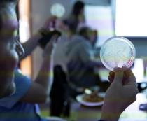 Picasso Feature Image